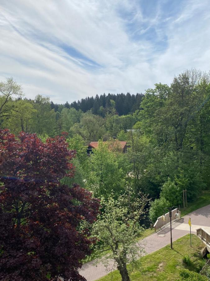 Hotel Braunlage Exterior foto