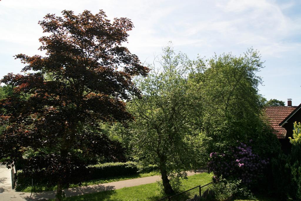 Hotel Braunlage Exterior foto