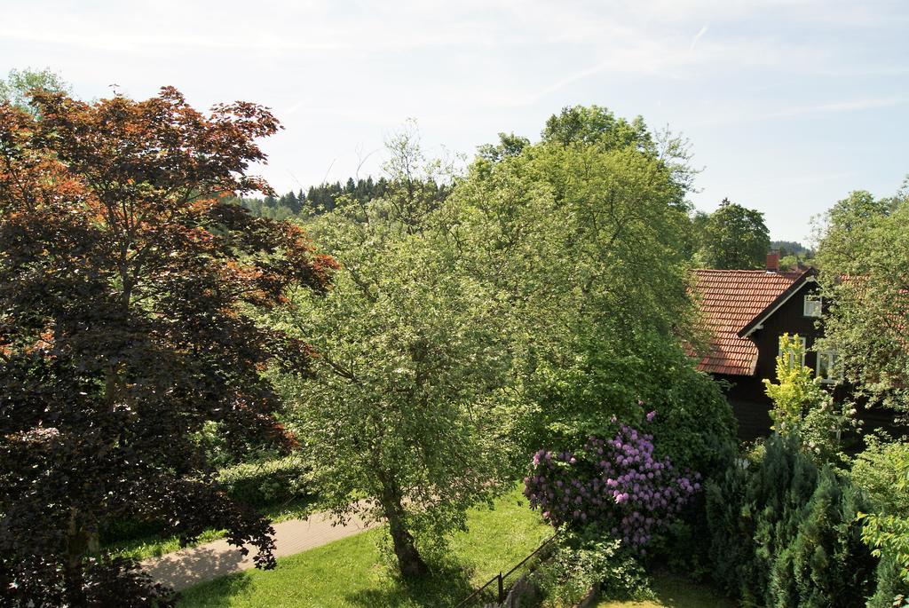 Hotel Braunlage Exterior foto