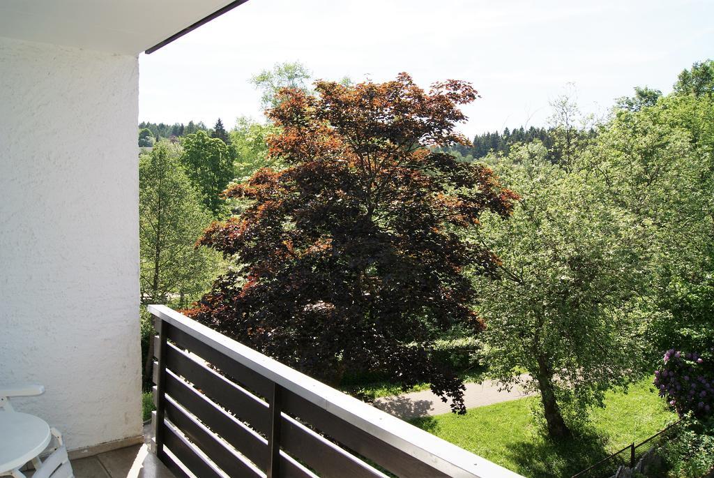 Hotel Braunlage Exterior foto